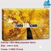 2013 Top Quality Thick canvas picture mounted on wood frames for wall hanging picture