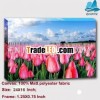 Top selling Thick canvas picture mounted on wood frames for wall hanging picture