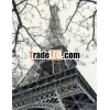 Paris Eiffel Tower Black And White Oil Painting
