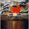 modern hand made oil painting