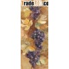 Grapes oil painting on canvas