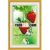 handmade wall painting-3D diamond picture