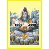 THL-15 Gold Foil Pictures