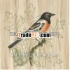 Home decoration handmade canvas birds oil painting