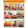 Peruvian Paintings - Catalog02