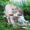 3d animal photo