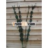 Artificial Plants, Artificial Crafts
