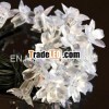 waterproof solar led bulb lighting from China