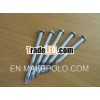 Nail