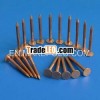Galvanized square boat nails