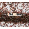 Garnet Abrasive, Sand Blasting Garnet