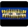 Dental tooth implant model natural size tooth model