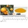 Beta-Cryptoxanthin