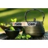 Green Tea Catechins 70%