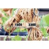 COIR HOP STRINGS (BEER HOP,  Tasmanian Vine Creepers)
