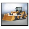 Wheel Loaders Liugong 856