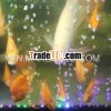 2013 new and hot dimmable aquarium light led competitively priced