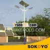 8m pole double 60W LED Solar Street Lights