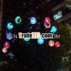 Solar LED Lantern