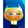 Solar Spike light