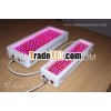 Aquarium lamps with two switches control B/W color separately
