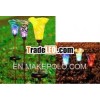 solar flower light/small lily solar garden light/glass flower solar light