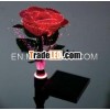solar garden light ( BPL3706 )