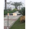 2m High-quality stainless steel solar led lighting,  courtyard lighting