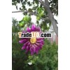 SOLAR LIGHT garden hanging