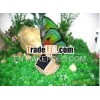 Solar garden lights/butterfly style(BSG039)