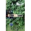 solar decorative light