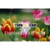 Solar power craft lights/ Solar butterfly lamps