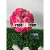 Solar outdoor lawn / LED flower ball lamp