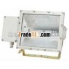 BAT52-Series explosion-proof floodlight lamp