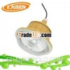 40W IP65 explosion proof light