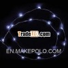 20 Cool White LED Fairy Lights,  3.3 foot Ultra Thin Silver Wire