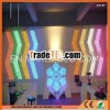 2011 newest neon holiday lighting