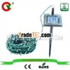 Solar Christmas Light