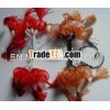 christmas light with lantern decoration / flower light/standard