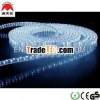 2 Wire LED Light Rope 120v Mini Bulb