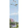 wind solar lamp