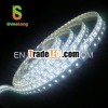 Competitive Price SMD5050 150 LEDS Flexible Strip(IP68)