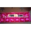 Christmas (3D) HOLOGRAPHIC LED String lights