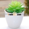 Shallow green gems miniascape,  household series of works,  miniascape,  household decoration
