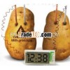 potato clock for children