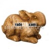 polyresin sitting rabbits