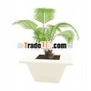 hexagonal planters