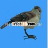 resin garden bird sculpture