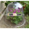 plastic cloche
