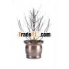 PLANTER WITH TREE
